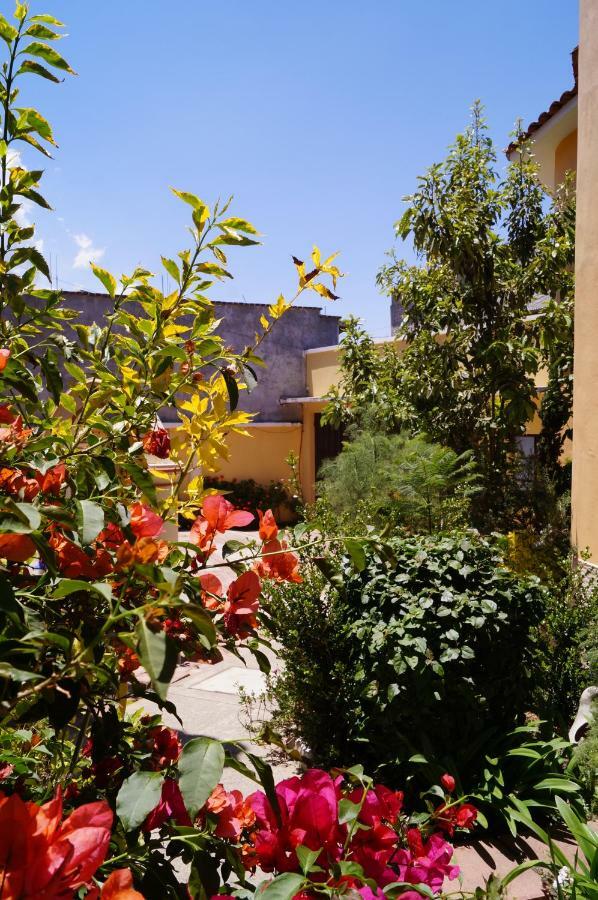 J&K Suite San Cristóbal de Las Casas Eksteriør bilde
